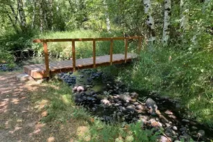 413 Morse St, Ryderwood, WA 98581 - Photo 31