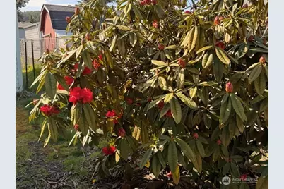 413 Morse Street, Ryderwood, WA 98581 - Photo 21