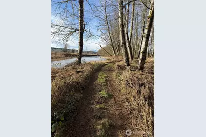 1554 State Route 508, Onalaska, WA 98570 - Photo 9