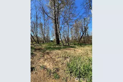 1554 State Route 508, Onalaska, WA 98570 - Photo 23