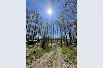 1554 State Route 508, Onalaska, WA 98570 - Photo 3