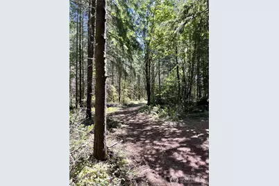 217 Bay Road, Winlock, WA 98596 - Photo 31