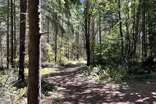 217 Bay Rd, Winlock, WA 98596 - Photo 31