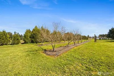 217 Bay Road, Winlock, WA 98596 - Photo 23