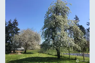 217 Bay Road, Winlock, WA 98596 - Photo 33