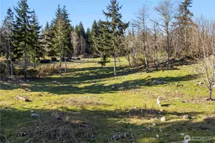 13113 Algyer Rd SE, Rainier, WA 98576 - Photo 35