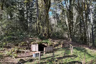 4806 Sunrise Beach Rd NW, Olympia, WA 98502 - Photo 33