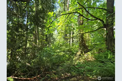 100 210th Avenue NE, Sammamish, WA 98074 - Photo 9