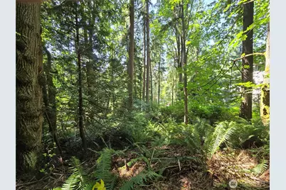 100 210th Avenue NE, Sammamish, WA 98074 - Photo 11