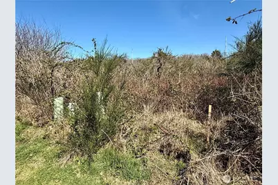 2 Xxx Francis Seamore Lane, Grayland, WA 98547 - Photo 9