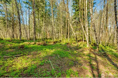 0 Buncombe Hollow Road NE, Woodland, WA 98674 - Photo 1