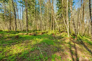 0 Buncombe Hollow Road NE, Woodland, WA 98674 - Photo 1