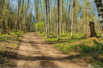 0 Buncombe Hollow Road NE, Woodland, WA 98674 - Photo 11