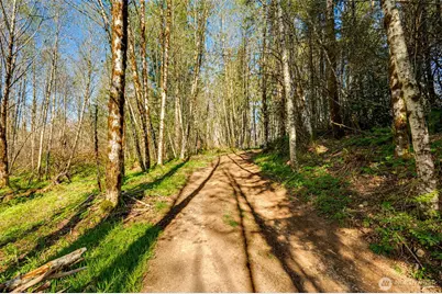 0 Buncombe Hollow Road NE, Woodland, WA 98674 - Photo 13