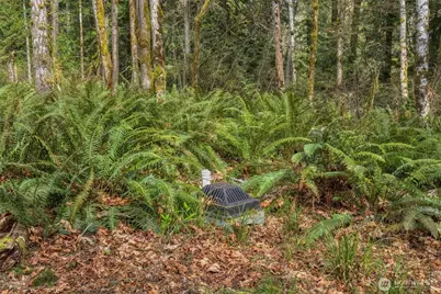 435 NW Sword Fern Lane, Poulsbo, WA 98370 - Photo 11