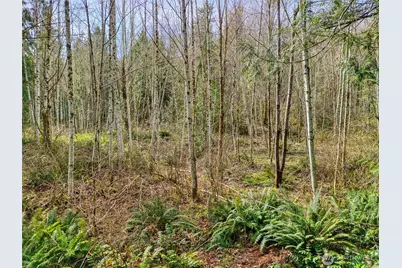 435 NW Sword Fern Lane, Poulsbo, WA 98370 - Photo 21