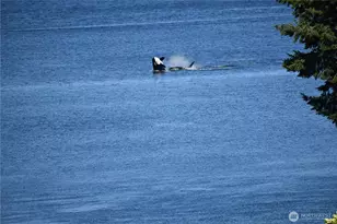 2142 Island Dr NW, Olympia, WA 98502 - Photo 33