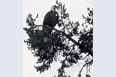 2142 Island Drive NW, Olympia, WA 98502 - Photo 35