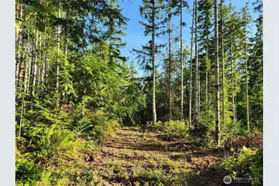 0 Rocky Brook Rd #Lot I, Brinnon, WA 98320 - Photo 5