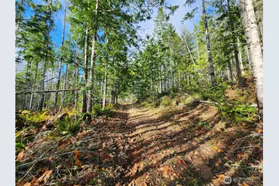 0 Rocky Brook Rd #Lot I, Brinnon, WA 98320 - Photo 3