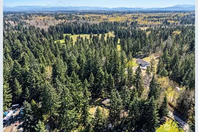 5709 366th Street S, Roy, WA 98580 - Photo 33