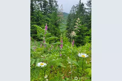 0 Acorn Lane, Marblemount, WA 98267 - Photo 3