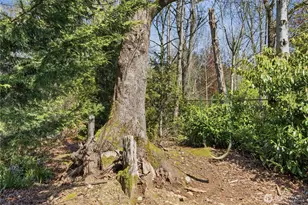 29 232nd Pl SW, Bothell, WA 98021 - Photo 31