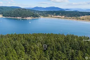 205 Makah St, Center Island, WA 98221 - Photo 37