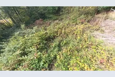 130 Lot: B, Ptn Blk: 15, Hoodsport, WA 98548 - Photo 3