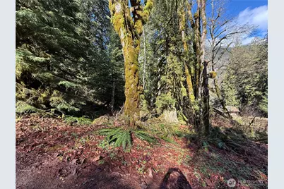 0 High Ridge Drive, Marblemount, WA 98267 - Photo 5
