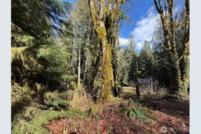 0 High Ridge Drive, Marblemount, WA 98267 - Photo 3