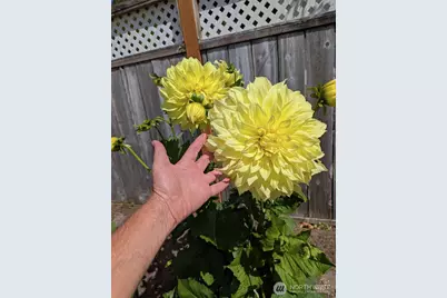 32216 T Place, Ocean Park, WA 98640 - Photo 7