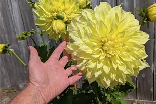 32216 T Pl, Ocean Park, WA 98640 - Photo 7