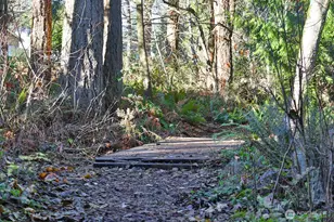 7316 194th Ave E, Bonney Lake, WA 98391 - Photo 27