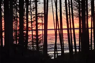 47 Willapa Sands Lane, South Bend, WA 98586 - Photo 31