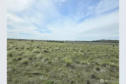 54 Duree Rd, Bickleton, WA 99322 - Photo 9