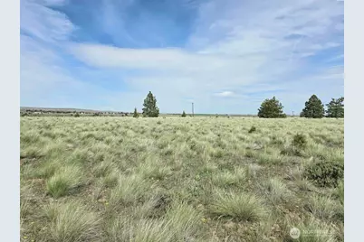 54 Duree Rd, Bickleton, WA 99322 - Photo 11