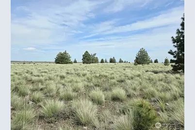 54 Duree Rd, Bickleton, WA 99322 - Photo 15