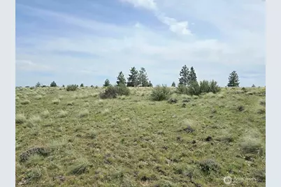 54 Duree Rd, Bickleton, WA 99322 - Photo 17