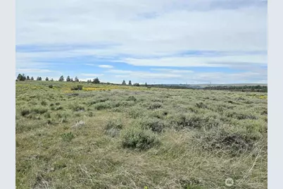 141 Middle Rd, Bickleton, WA 99322 - Photo 11