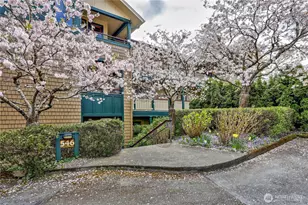 546 Wood Ave SW, Bainbridge Island, WA 98110 - Photo 7