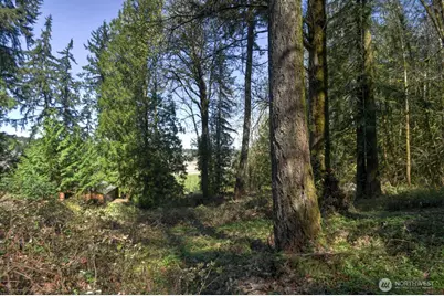 7640 Holiday Valley Drive NW, Olympia, WA 98502 - Photo 5