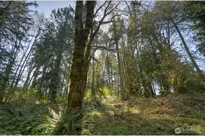 7640 Holiday Valley Drive NW, Olympia, WA 98502 - Photo 7