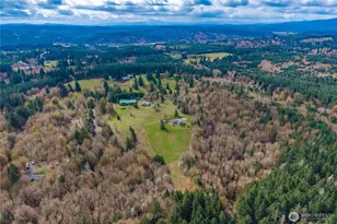 10404 210th Ln SW, Rochester, WA 98579 - Photo 3
