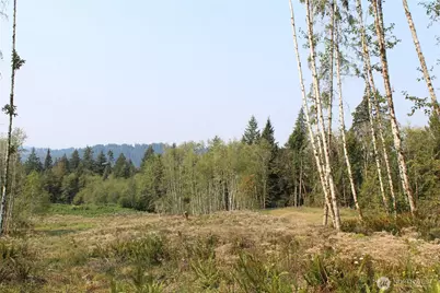 0 Cedar Creek Road, Oakville, WA 98568 - Photo 29