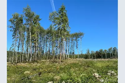 0 Cedar Creek Road, Oakville, WA 98568 - Photo 3