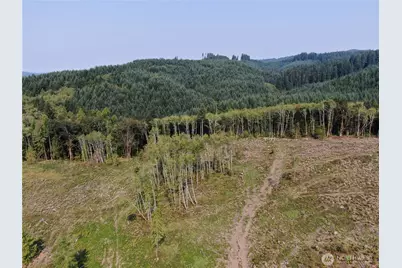 0 Cedar Creek Road, Oakville, WA 98568 - Photo 1