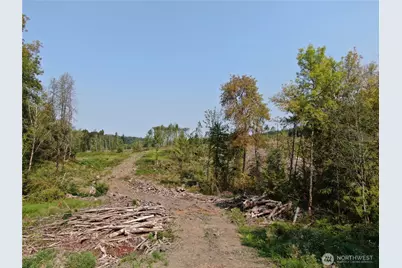 0 Cedar Creek Road, Oakville, WA 98568 - Photo 5