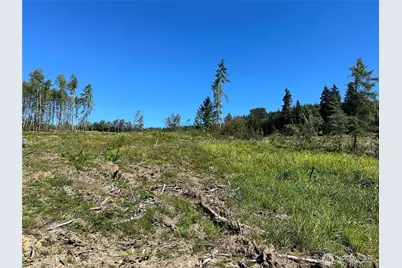 0 Cedar Creek Road, Oakville, WA 98568 - Photo 21