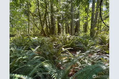 10 Th Ave To Forest Rock Lane NE, Poulsbo, WA 98370 - Photo 7